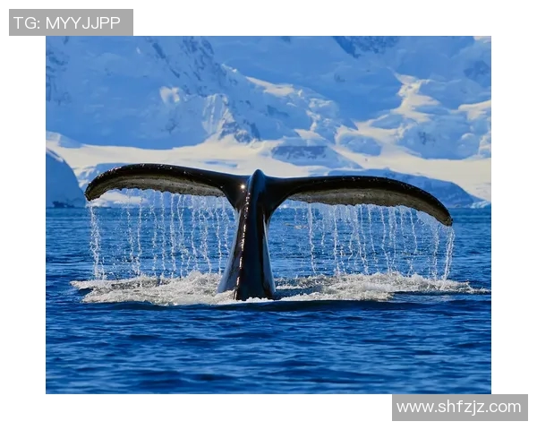 以亚马尔半岛为核心探索极地生态环境变迁及人类活动影响研究 以亚马尔半岛为核心探索极地生态环境变迁及人类活动影响研究