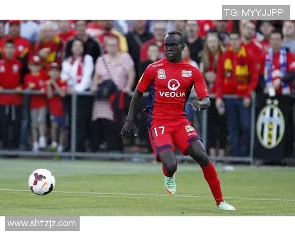 西部联与阿德莱德的精彩对决分析及赛后点评 西部联与阿德莱德的精彩对决分析及赛后点评