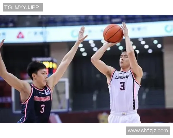 南京排球队技术表现深度分析与数据解读探讨