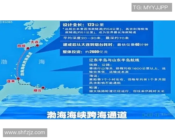 重庆飞盘队个人能力深度解析与发展潜力探讨