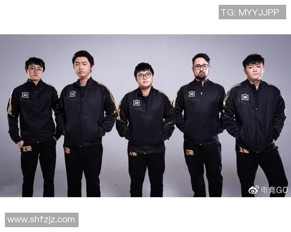 DOTA2巨献:深入解析RNG战队背后的实力与团队精神